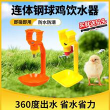 耐尔尼鸡用自动饮水器养鸭鹅用连体饮水器乳头式吊杯喂鸡喝水