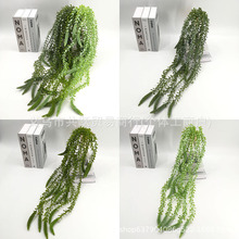 ���l�����ٗl�����m޹�²��� ��피Ҿ��̈��bGֲ���� ����Gֲ