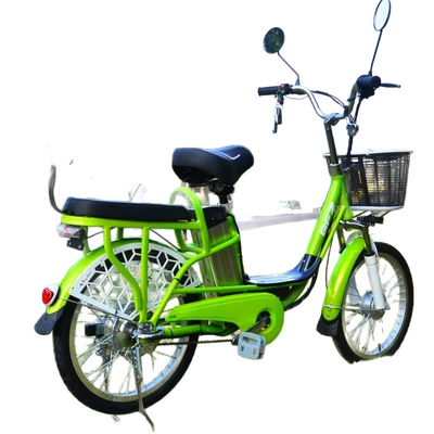 Motorcycle Electric Bicycle, Elektrikli motosikletlər
