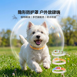 �ļ������Ȧ��ù��Ȧ؈�Ȧ����Ȧ��ʭ�ȦȮ؈ֲ�ﾫ���Ȧ