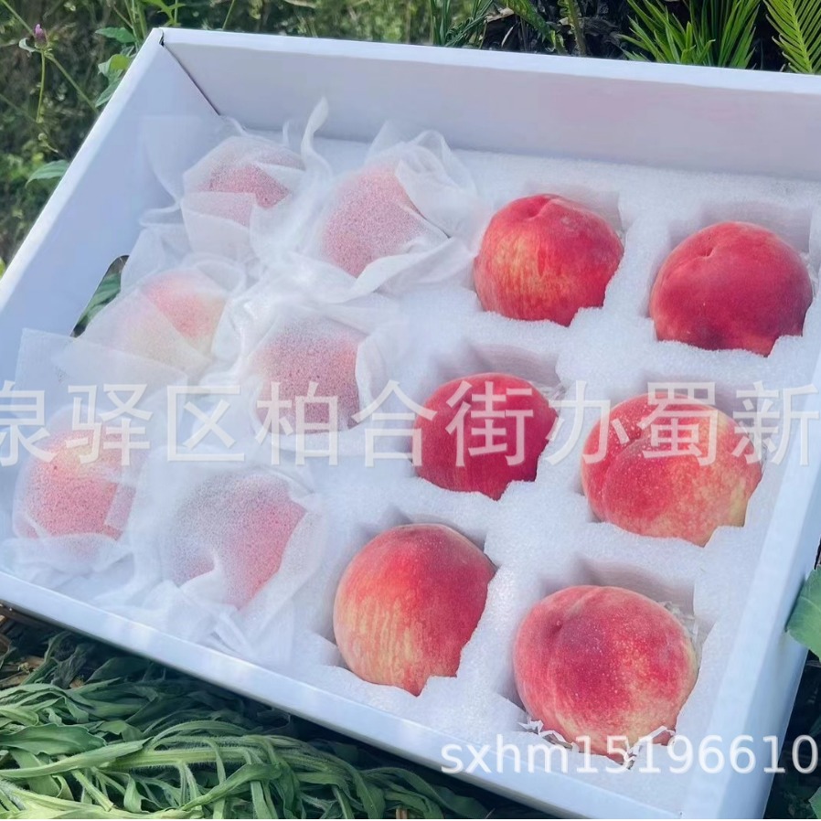 厂家供应李子桃子水果包装泡沫/珍珠棉水果缓冲泡沫