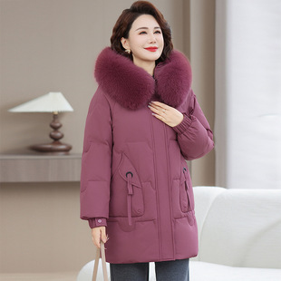 Ʒ�Ƹ߶�2025���b����ë�I���ꋌ���b��q�����ך��|�����q���L��