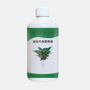 Gold Diamond Special Nutrient Solution Household Indoor Flower Raising Green Diamond Red Diamond Big Leaf Green Princess Water Soluble Fertilizer for Potted Plant Universal