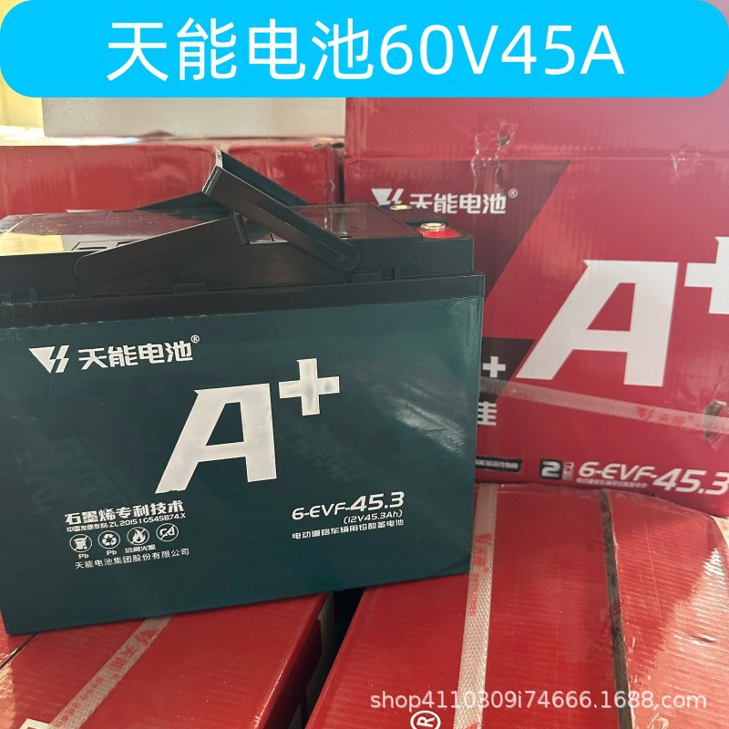 Batería Tianneng 48V60V72V/12A20A32A58A Batería de triciclo de coche eléctrico de plomo-ácido genuino nuevo