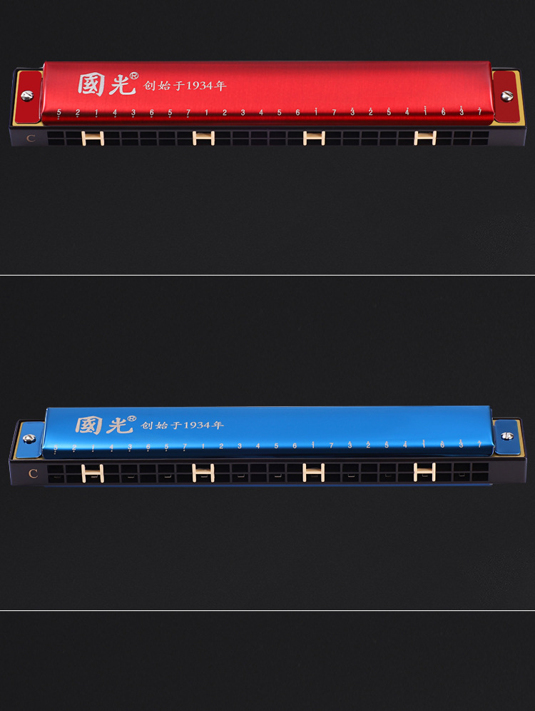 上海国光口琴24孔复音C调批发初学儿童男女自学入门乐器国光口琴详情9