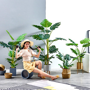 ���ͱ��W�L����ֲ��������˽������҃��b����ԾW�t�Gֲ��@�٘�