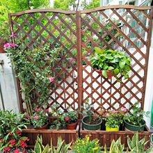 ����ľ�������ͥԺ��ľ���軨�۷Nֲ���L���δ�̖�ӹ��̨�N����