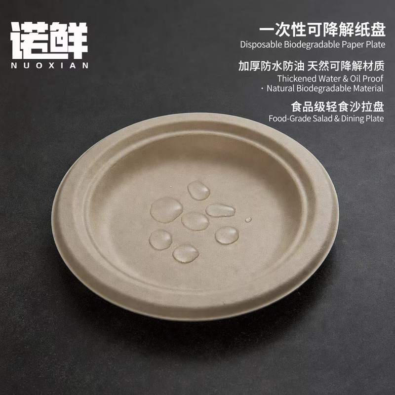 Cross-Border Foreign Trade Disposable Round Paper Plates Kindergarten DIY Pulp Cake Plates Eco-Friendly Biodegradable Fruit Light Snack Containers