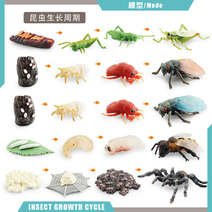 �羳�������x������L����ģ��Λ���s�۷�֩�����L�^�̿ƽ̔[��