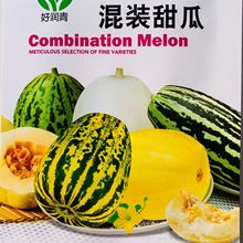 ���b��ϾG��ʯ��ϷN�ӱ�Ƥ����ϷN���ļ��߲˷N�Ѵ������۹�
