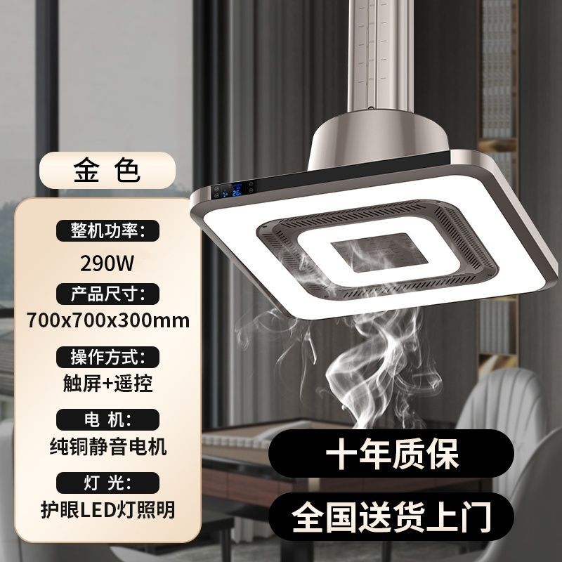 [골드 사이즈 하이파워] 다이렉트 로우 - 고급스러운 더블링 램프 - 클래식 골드 - 설치 미포함