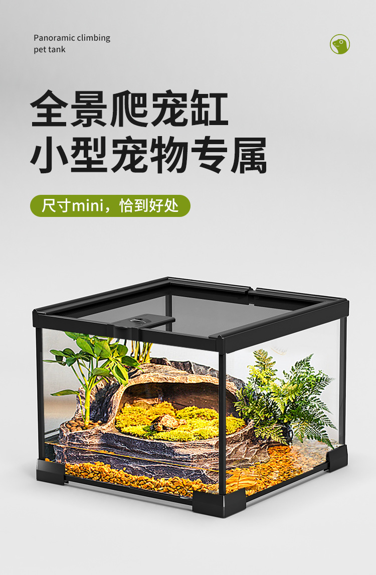 爬宠缸详情2025_01