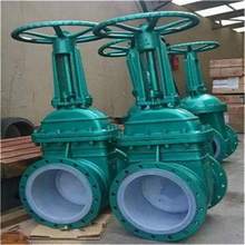 Z41F46-16C  DN50̼��r�����m�l�y�ܷ����ܽ��|����ˢ�����gС