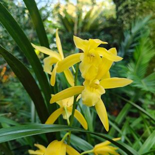 �����m���԰������m�҃��̨ޥ�m���m�Gֲ�ͺ������B������������