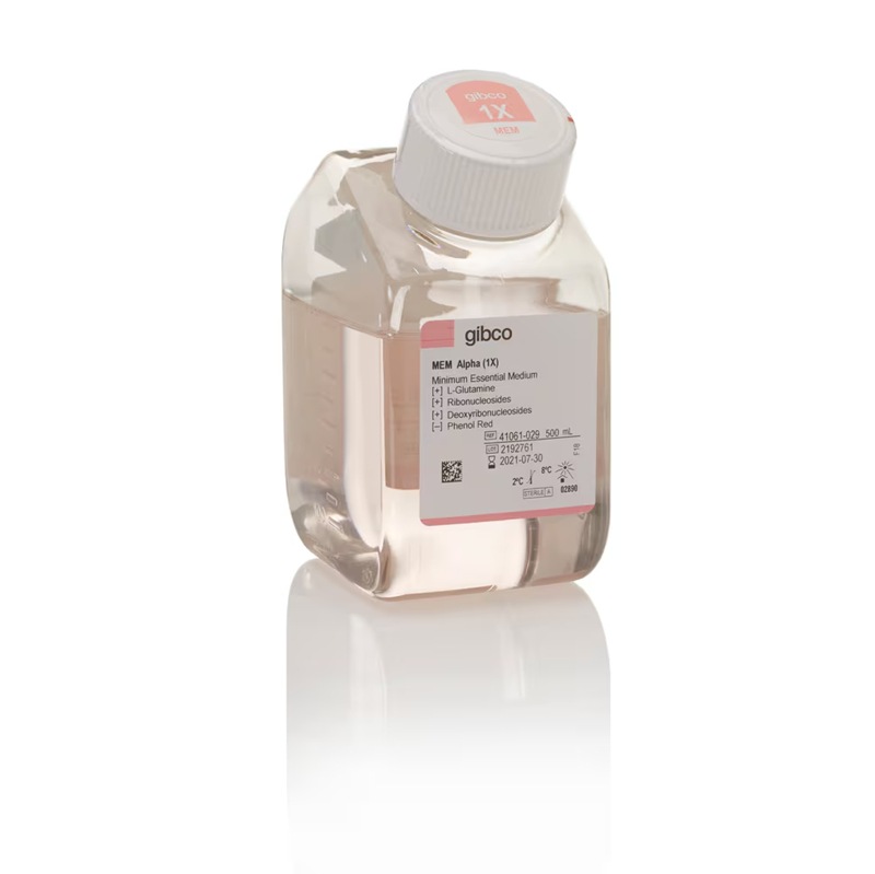 41061029赛默飞Gibco  MEM α核苷无酚红 thermo