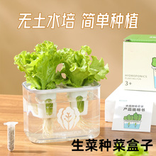 lydiy��ͯˮ�����˷Nֲ�߲˺Пo�������׃��@����N�����