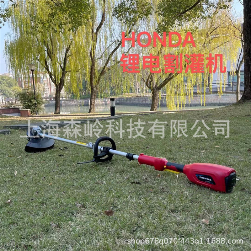 e787b04523dd9f6fa8138775d63d55