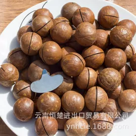 咖啡生豆;咖啡豆;夏威夷果