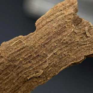 ��ɭ�t�����⼃��ȻҰ��Խ�ϳ���Ѭ��ԭ���Ͼ�����骱P��agarwood