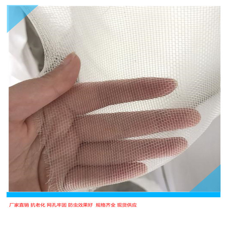 蔬菜防虫网价格生产现货厂家防护大棚专用轻薄防蚊防风