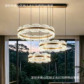 现代轻奢客厅吊灯2026新款圆环led大厅主灯设计师创意卧室餐厅灯