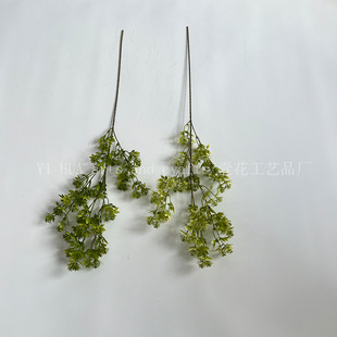 �Gɫϵ ���滨ɭϵ��Y�~�� ��c�廨·���������m���ⶹ�Aëë�x