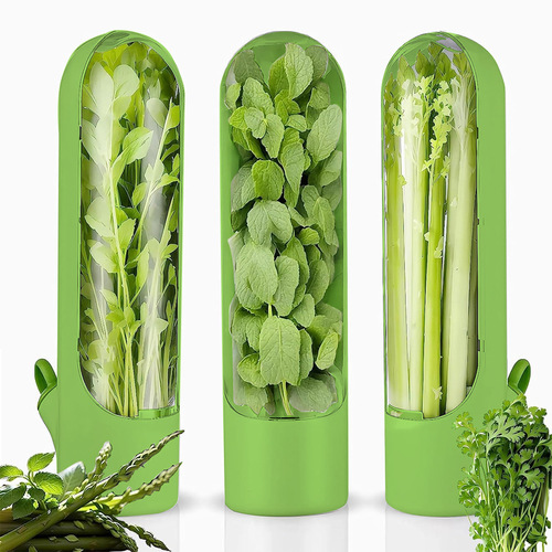 Shein Vanilla Food Storage Container Vegetable Preservation Tool Coriander Herbal Preservation Box
