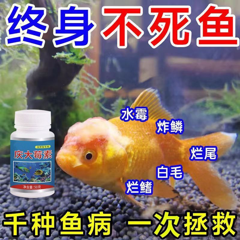 クエンタミシン魚専用、腐った体、腐った尾、白い斑点、白い毛、リンの欠落、目隠し、殺菌、消毒、リハビリテーション、殺菌|undefined