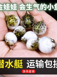 ��ˮͧ�~�����޳��s�ݺ���ը���~���R���^�~�Ꭷ�~������ɐۺ���