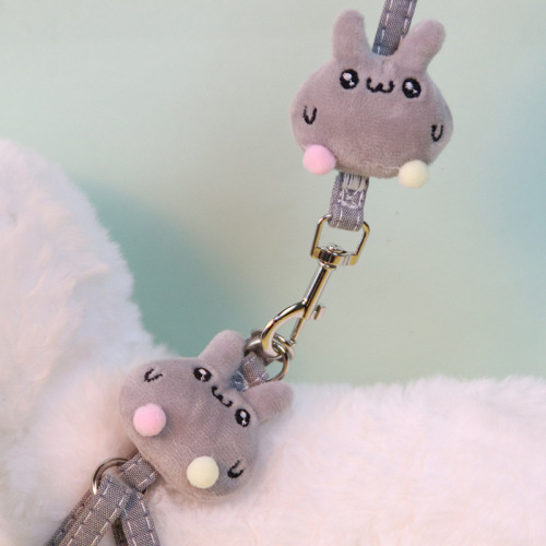 Leash for small Teddy dogs, outdoor walking rope pet supplies manufacturer, non-slip and anti-tangle dog leash