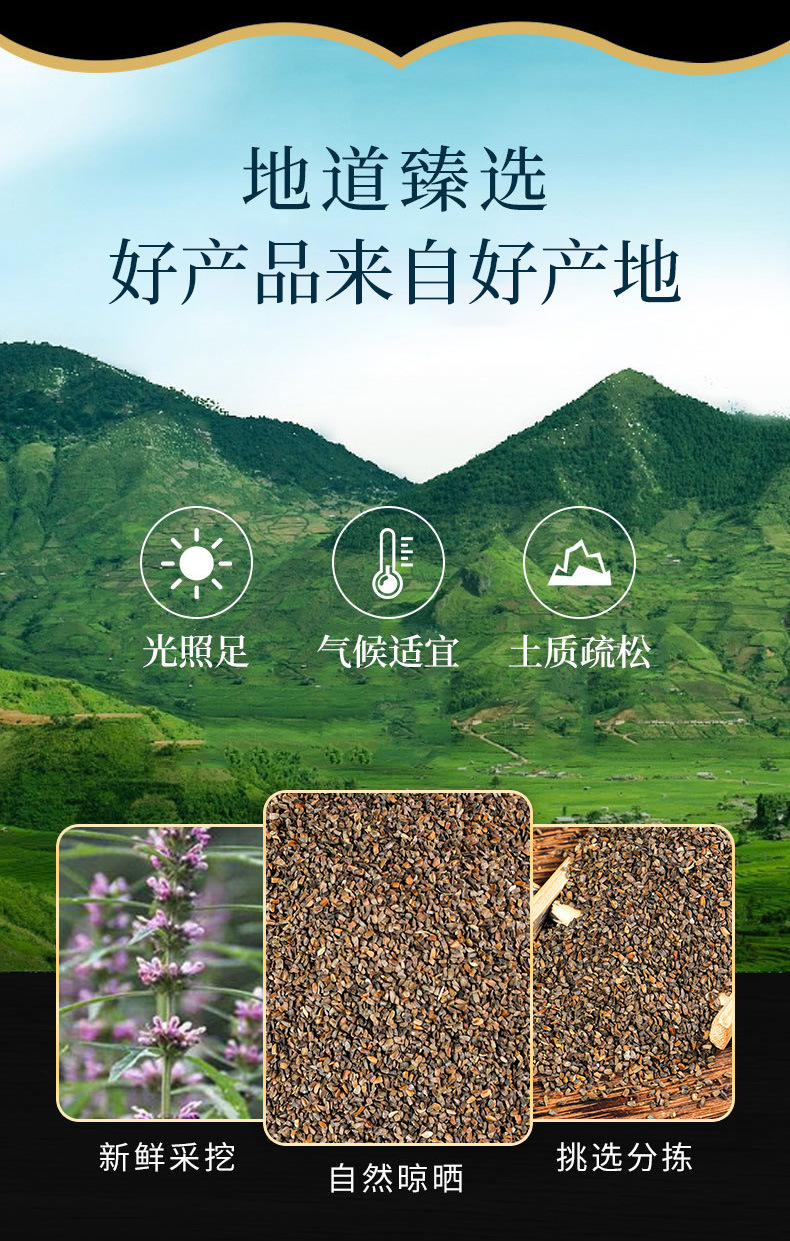 Chong Wei Zi (Leonurus japonicus) — Dried Motherwort Seeds & Powder, Food Herb overview