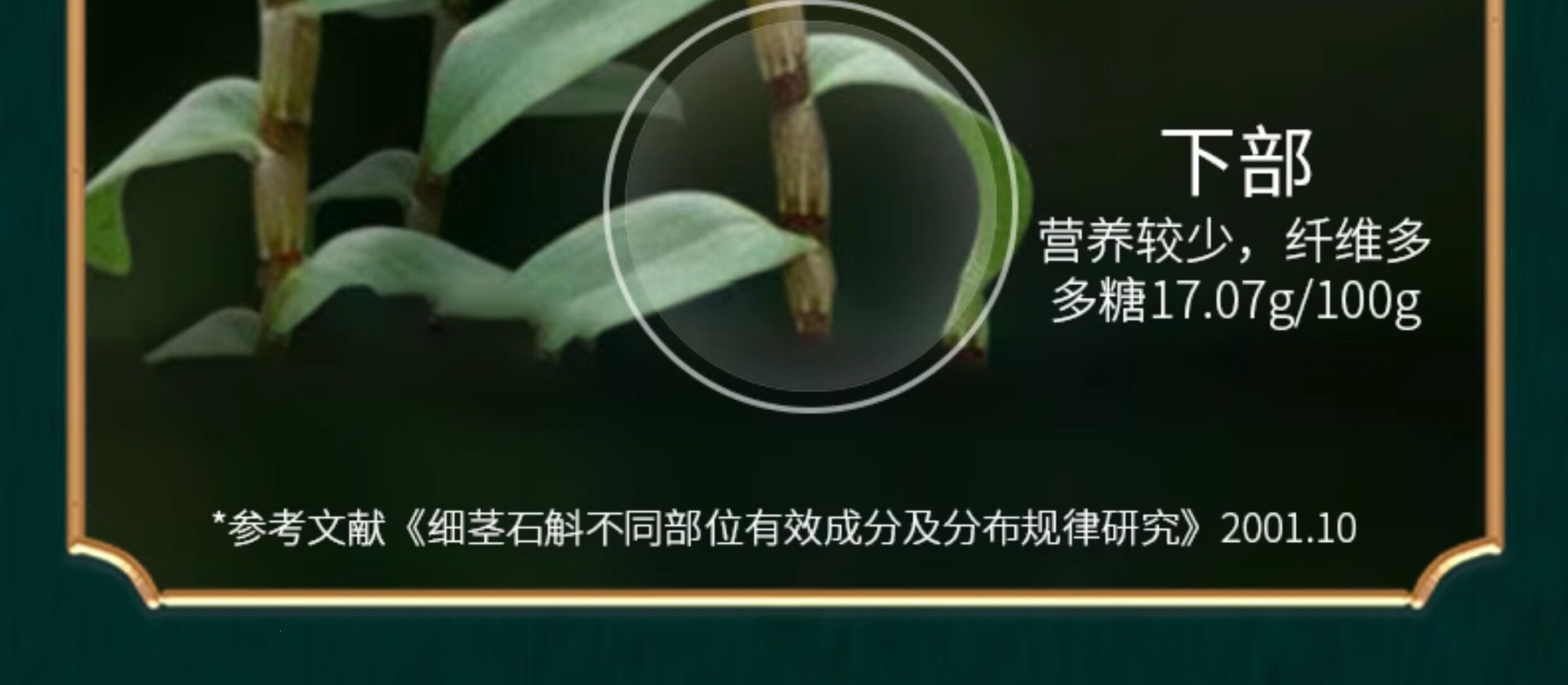Tie Pi Shi Hu Dendrobium Powder 100g Huoshan Wild-Simulated 5-Year Traditional Culinary Use specifications
