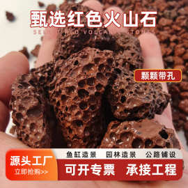 污水处理人工湿地鱼池过滤多孔红色火山岩生物除臭树坑装饰火山石