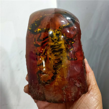 仿古工艺品树脂琥珀特大号昆虫蜻蜓知了蝎子螃蟹蝴蝶龙虾标本摆件