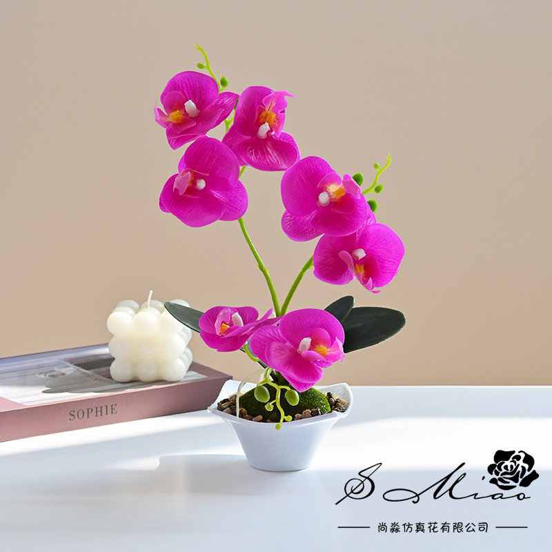 Nueva Phalaenopsis Bonsai de tres horquillas flor artificial decoración creativa Planta artificial suministro directo de fábrica de una sola pieza entrega image 6