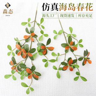 ���u��������Gֲ���R����~ins�L�W�t�Ҿ��b����Ի�c�zӰ�[��