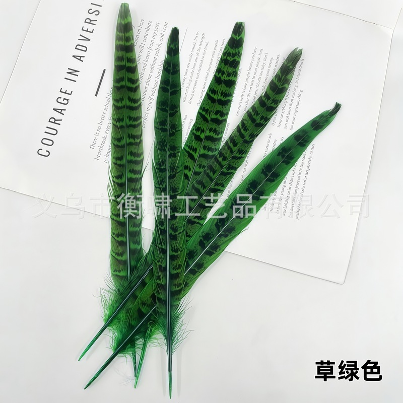 染色彩色羽毛母山鸡尾野鸡毛DIY手工制作婚庆舞台材料服饰配件|undefined