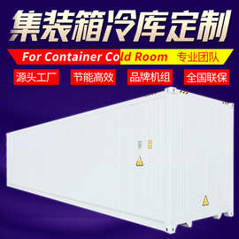 冷藏库集装箱冷库速冻库冷库全套设备For Container Cold Room