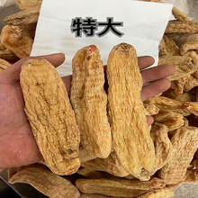 天麻红药材黑姜制溯源各规格大货批发养生宝中药