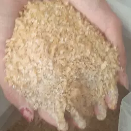 动物胶;其他废金属