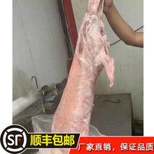 ��؛�������Ʒ���l��ȫ�򿾸���ɽ���d���40��