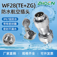 WF28��ˮ�ͺ��ղ�ͷ2-3-4-5-7-8-10-12-16-17-20-24-26TEZG������
