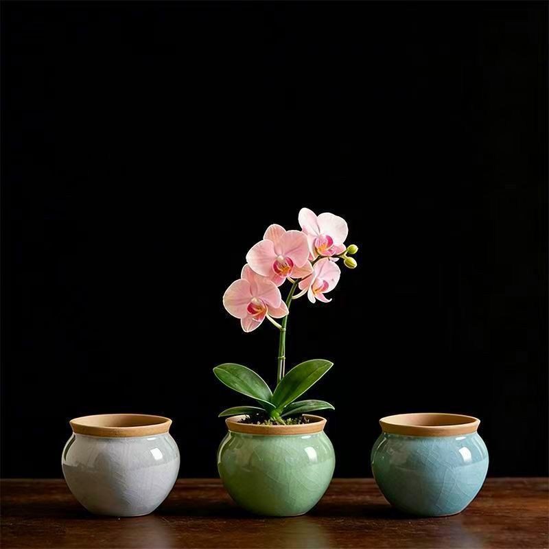 Ge Ware Succulent Flower Pot, Ceramic Chinese Style Creative and Unique Coarse Pottery for Succulent Plants, Orchids, Phalaenopsis, and Green Plants Ge Ware Succulent Flower Pot, Ceramic Chinese Style Creative and Unique Coarse Pottery for Succulent Plants, Orchids, Phalaenopsis, and Green Plants