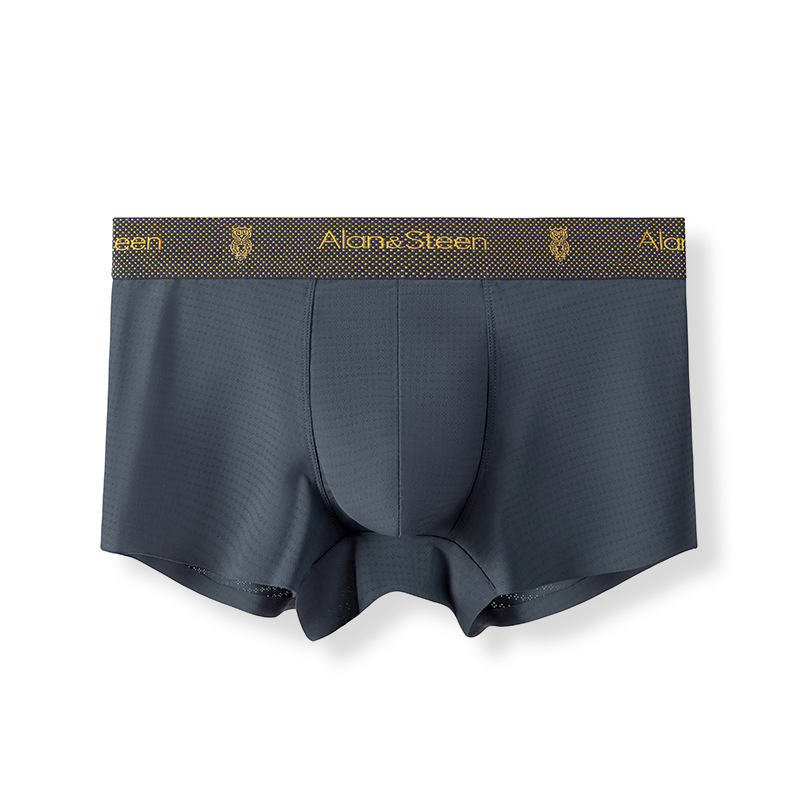 En caja sin costuras ropa interior de seda de hielo para hombres jóvenes boxeadores de color sólido malla de cintura media boxeadores transpirables sueltos verano