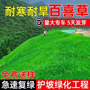 ��ϲ�ݲ����o�¾G�����~ȸ�޲ݷN�ͺ��ͺ��͸ߜصVɽ�;G��ƺ�N��