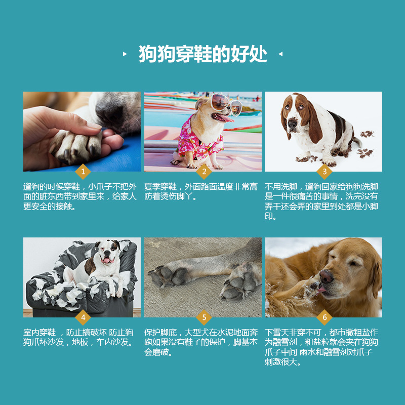 中文 (2).jpg