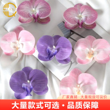 �^�z�����m���^���滨3D���ֶY������b�Y��c�[���ٻ��^�