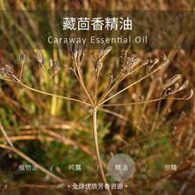 ӡ�� | �M�� �ЙC ������η����� ���l