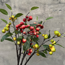 �¿�4�溣�Ĺ�С�O���t��֦������������ҾӔ[��������� - ����