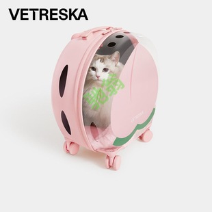 yutδ������������؈�������y̫��œ�����������U��؈�乷����